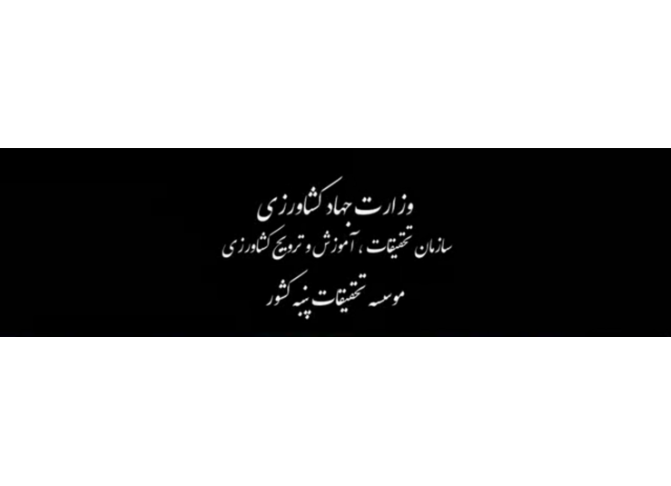 ویدئو