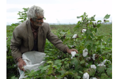 گلچین تصاویر موسسه