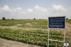 گلچین تصاویر موسسه