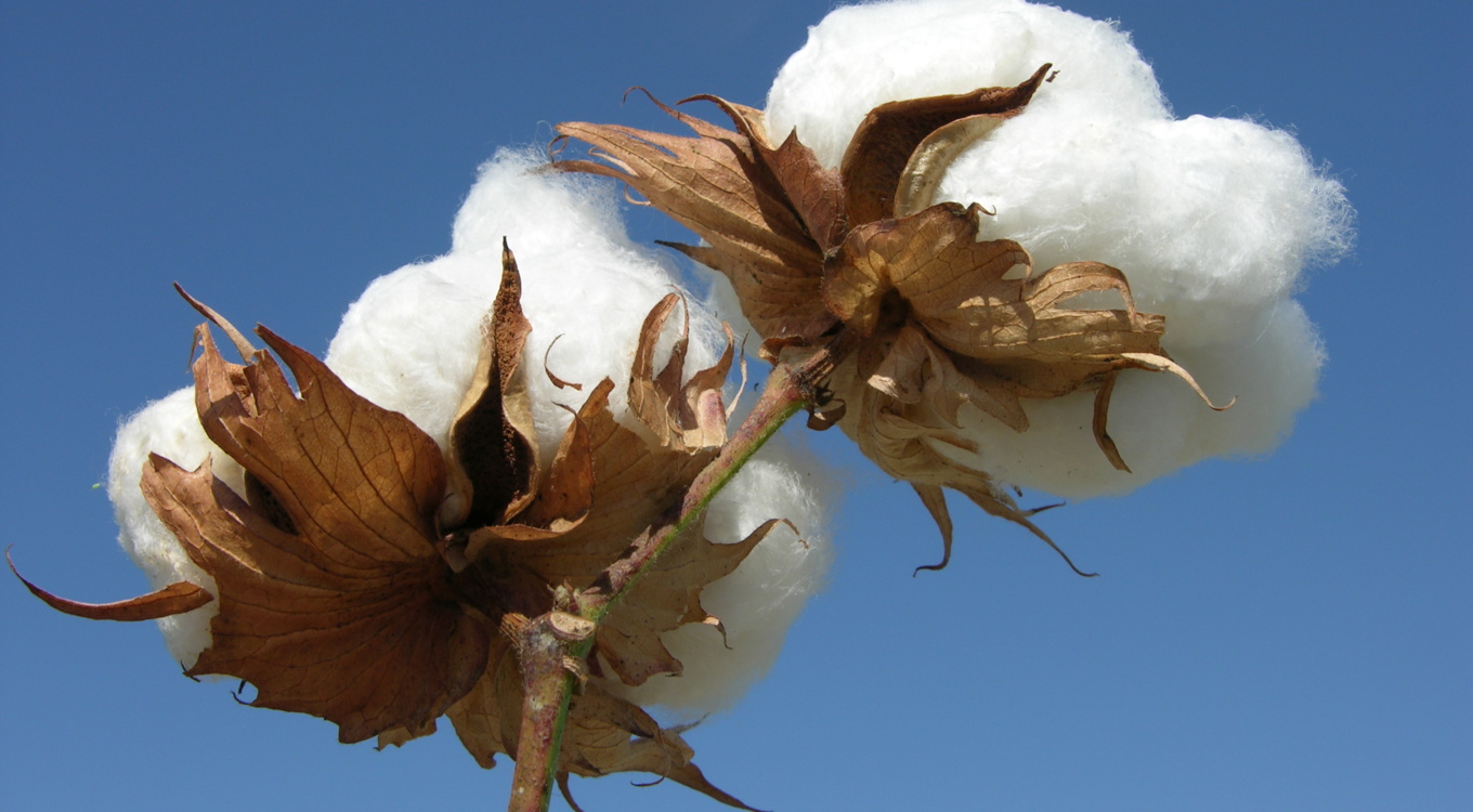 گلچین تصاویر موسسه