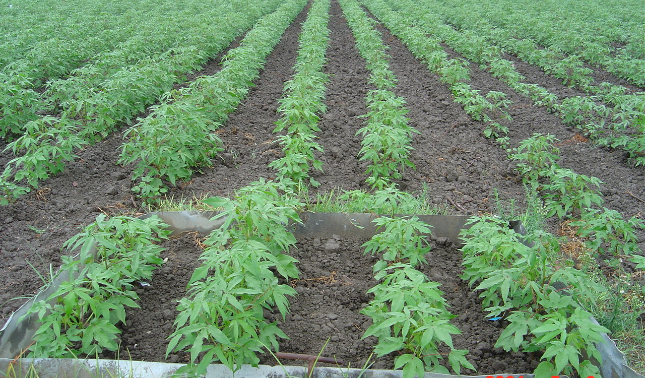 گلچین تصاویر موسسه