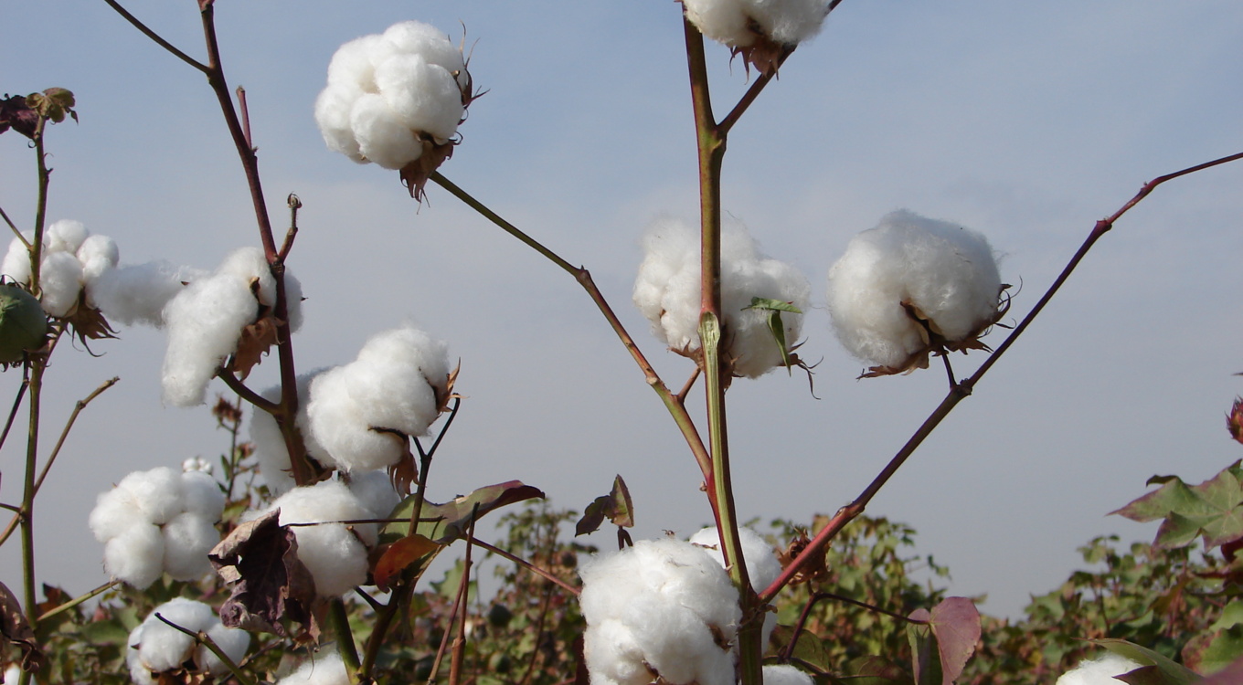 گلچین تصاویر موسسه