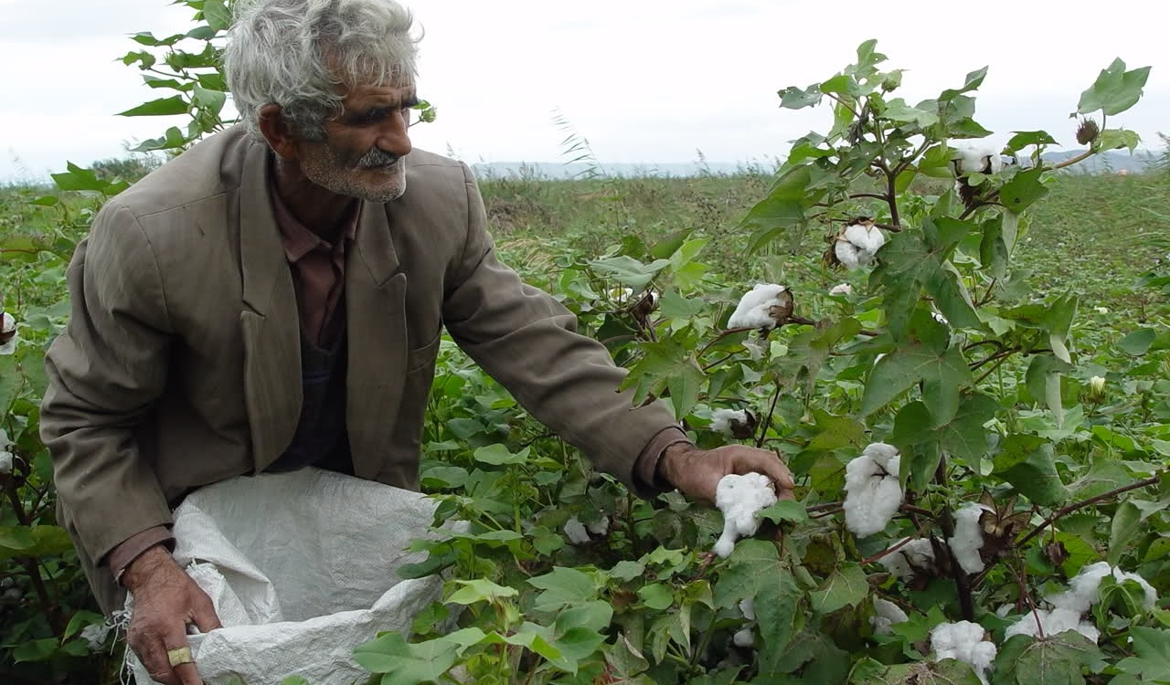 گلچین تصاویر موسسه