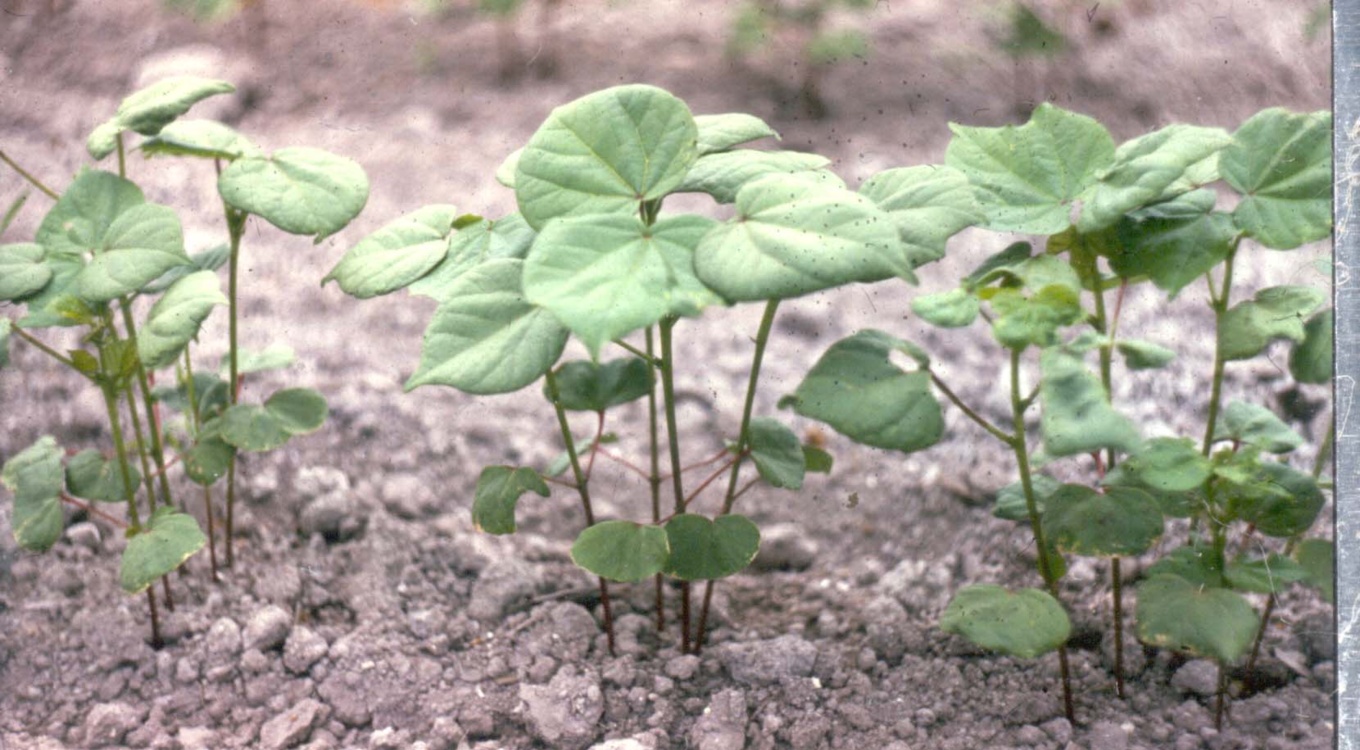 گلچین تصاویر موسسه