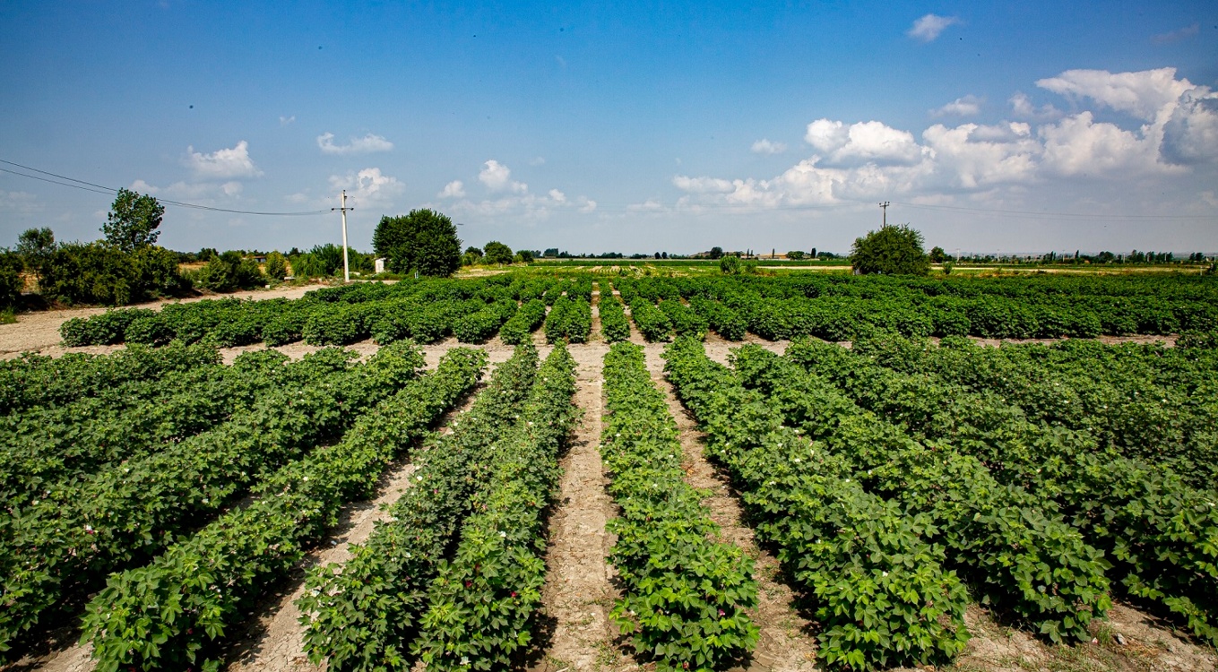 گلچین تصاویر موسسه