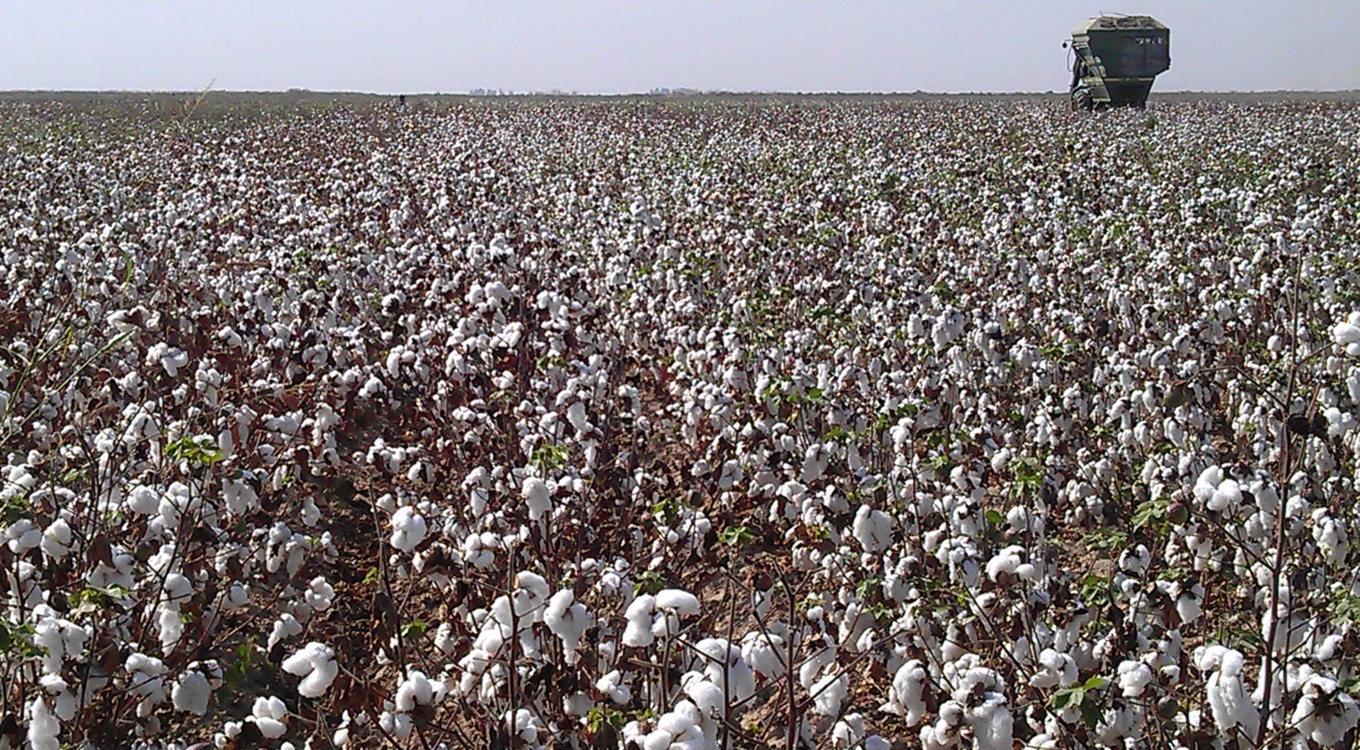 گلچین تصاویر موسسه