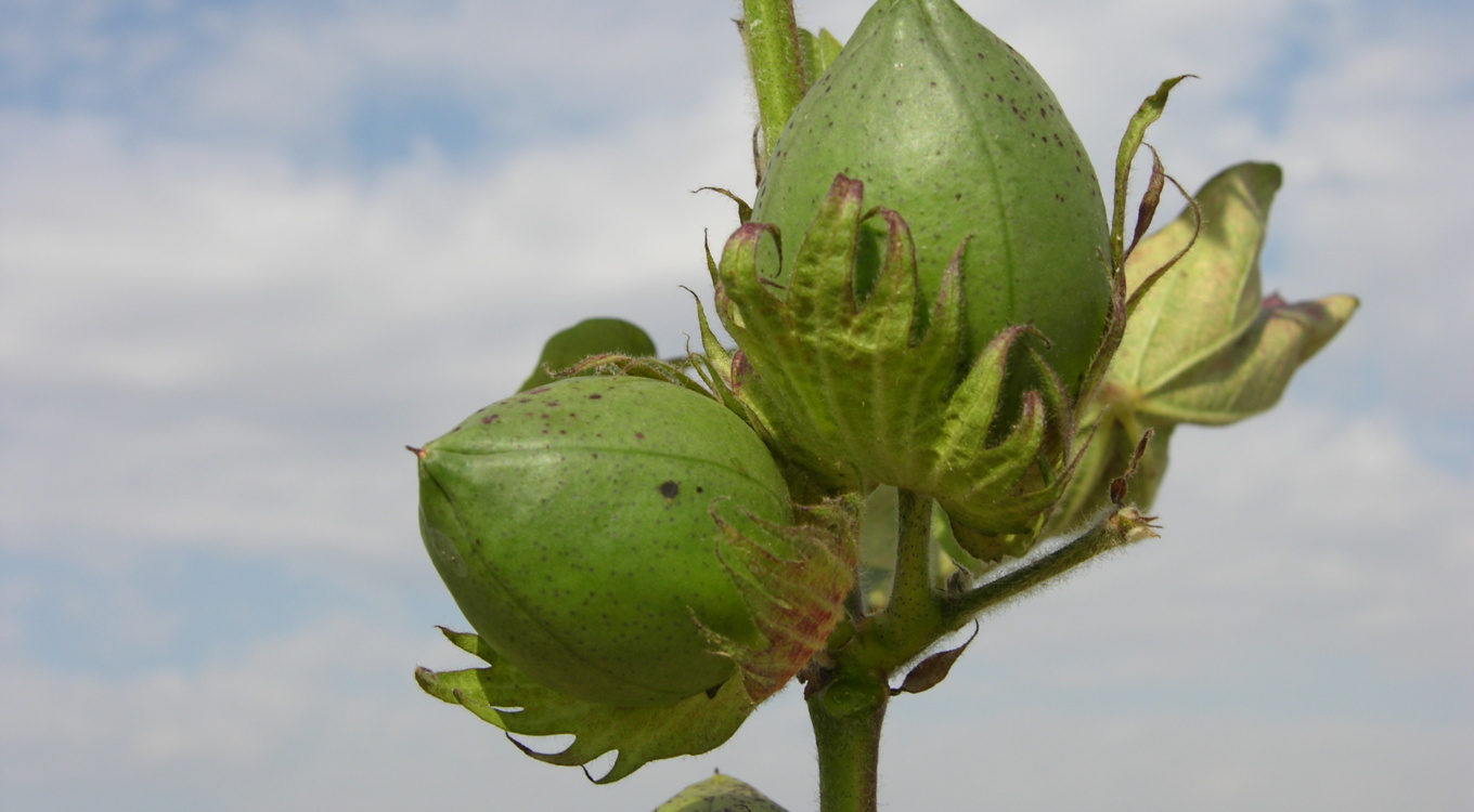 گلچین تصاویر موسسه