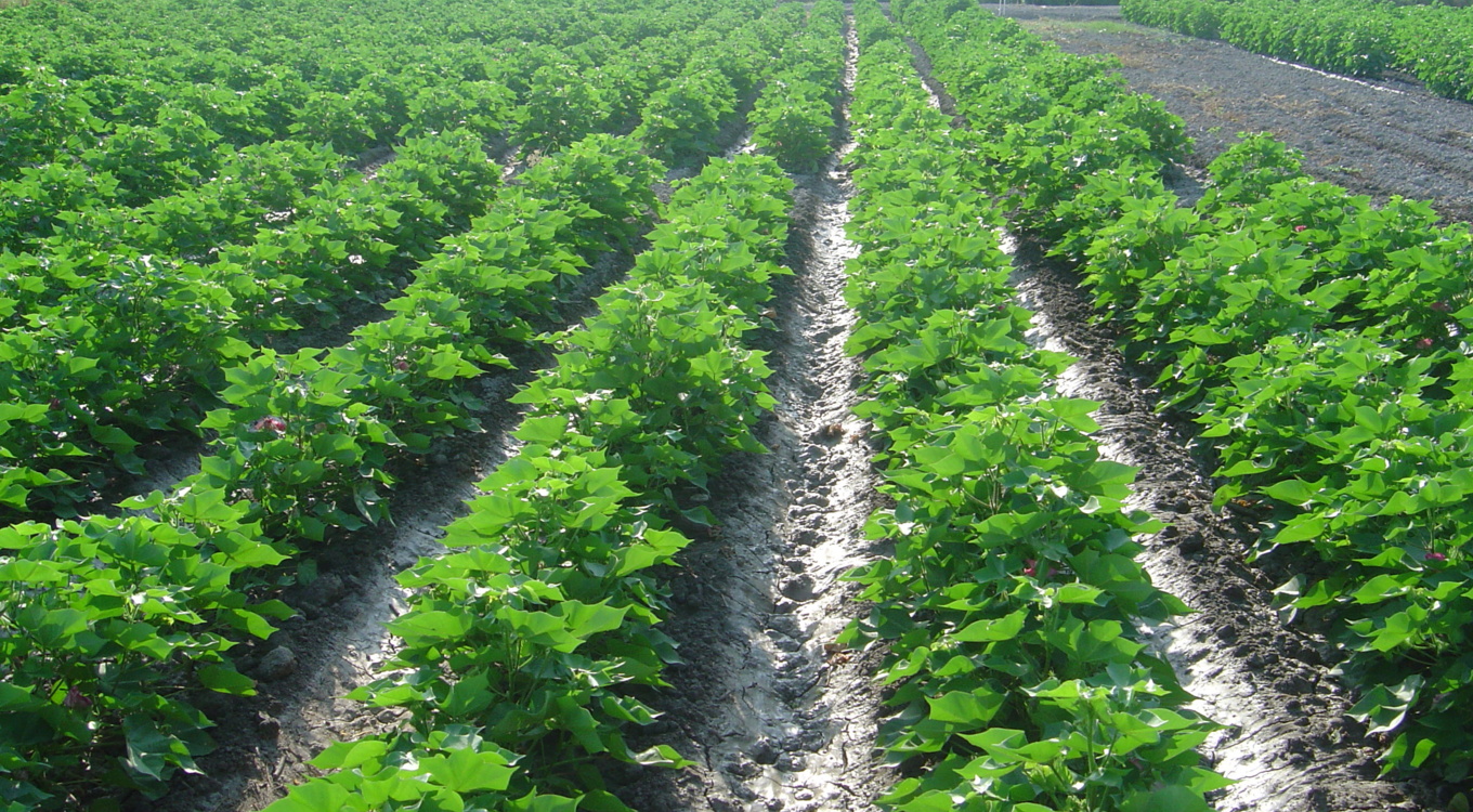 گلچین تصاویر موسسه