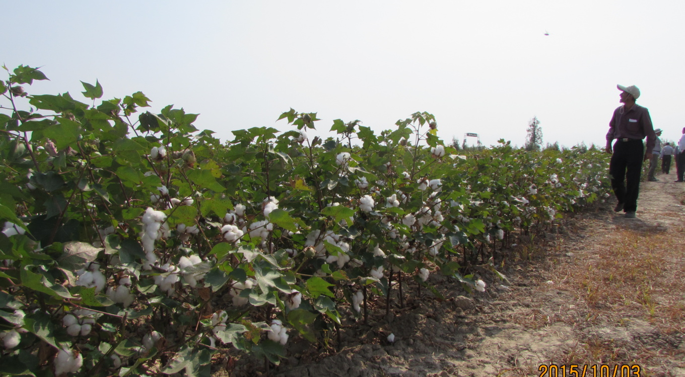 گلچین تصاویر موسسه