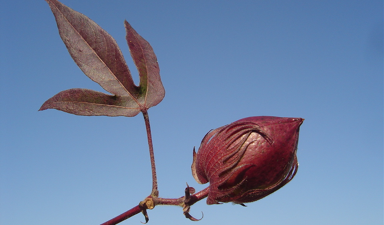 گلچین تصاویر موسسه