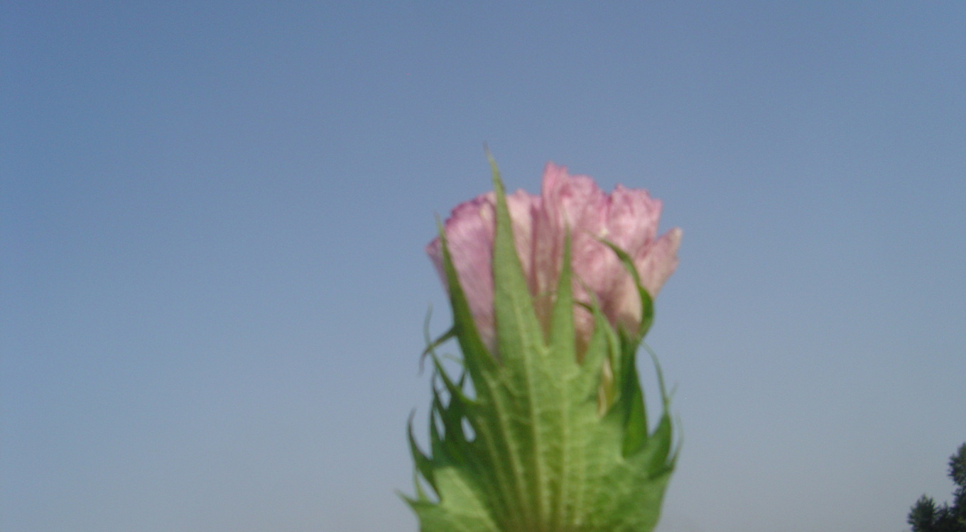 گلچین تصاویر موسسه