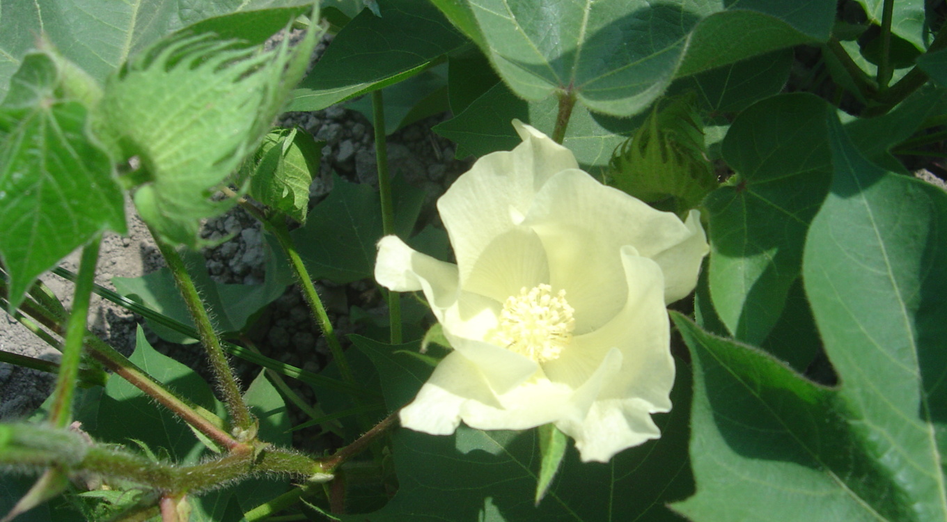 گلچین تصاویر موسسه