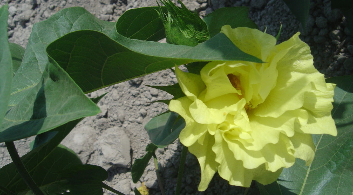 گلچین تصاویر موسسه