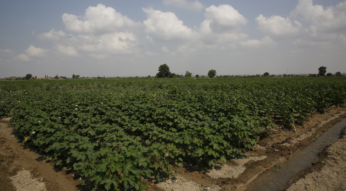 گلچین تصاویر موسسه