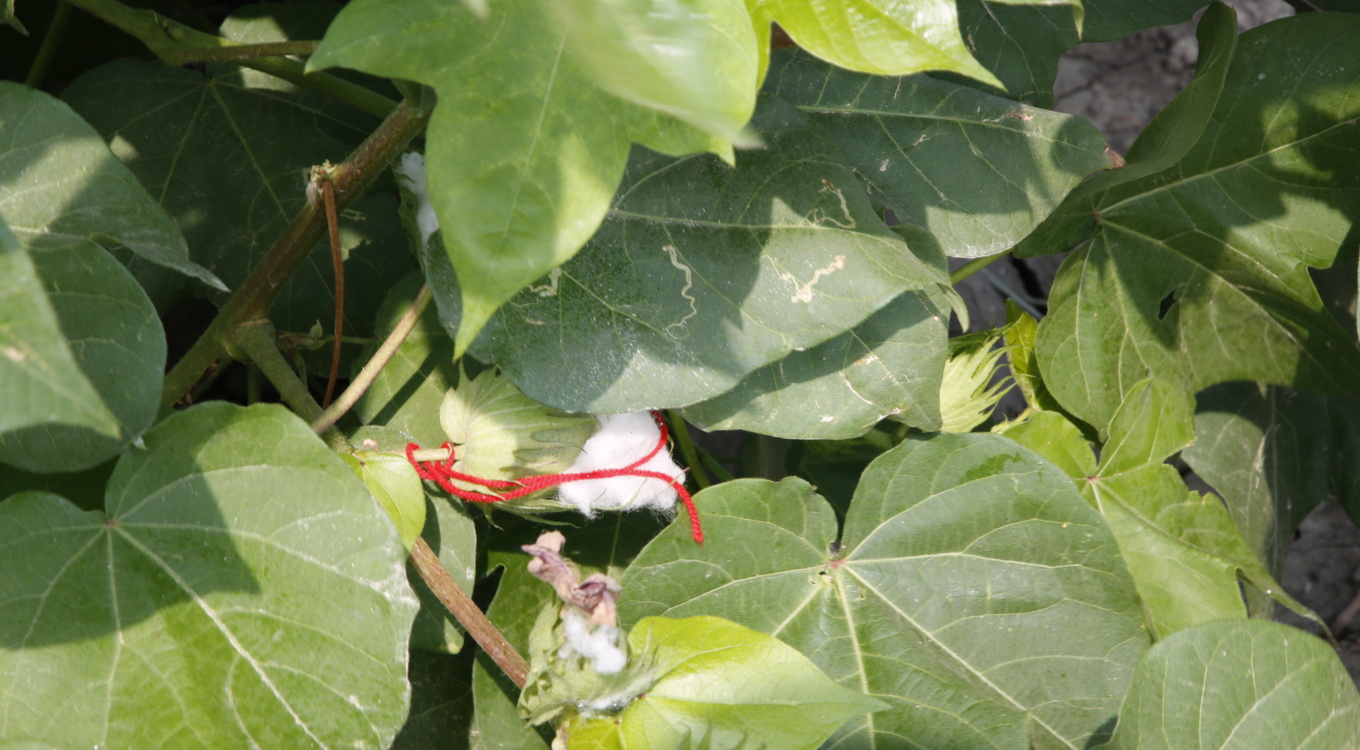 گلچین تصاویر موسسه