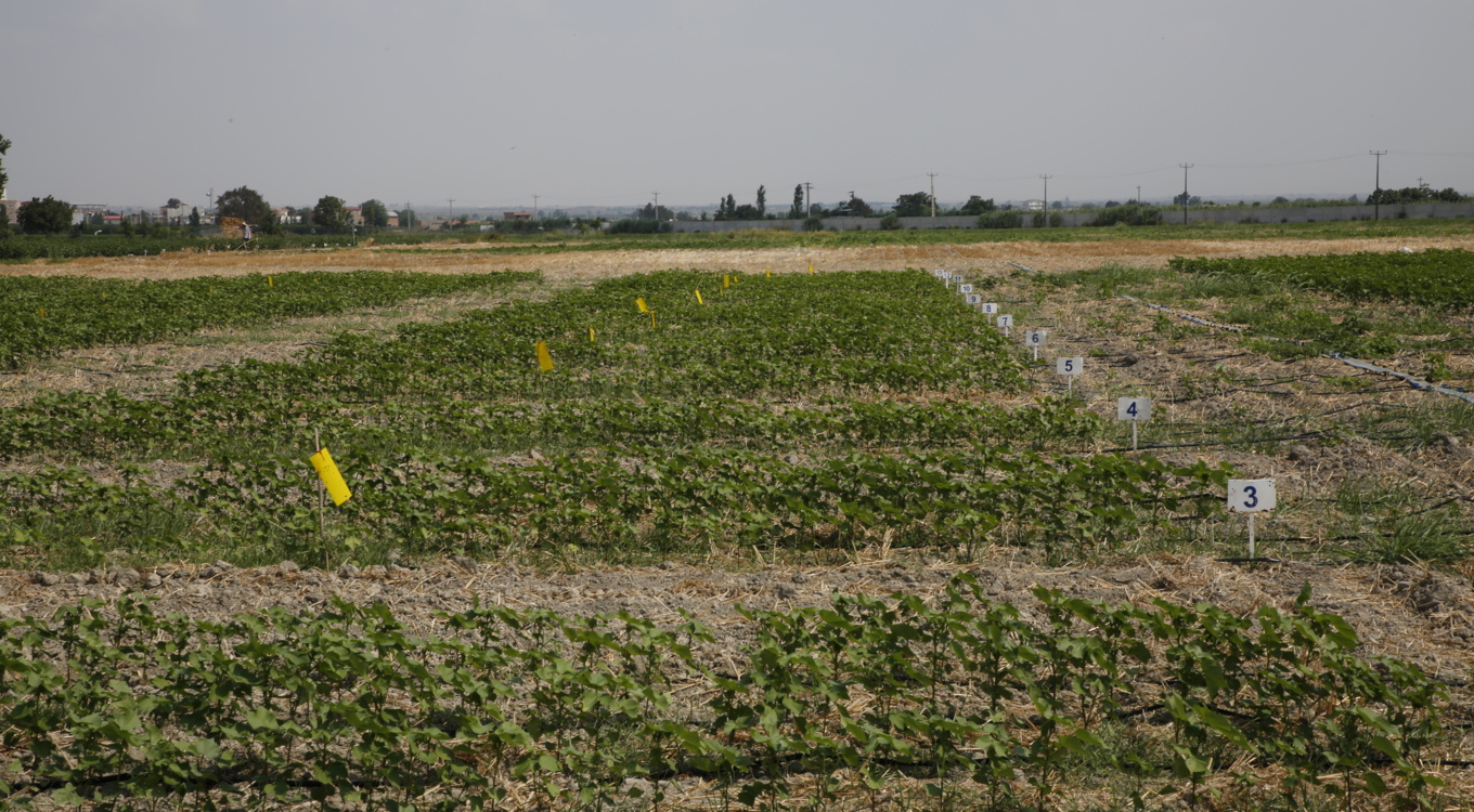 گلچین تصاویر موسسه