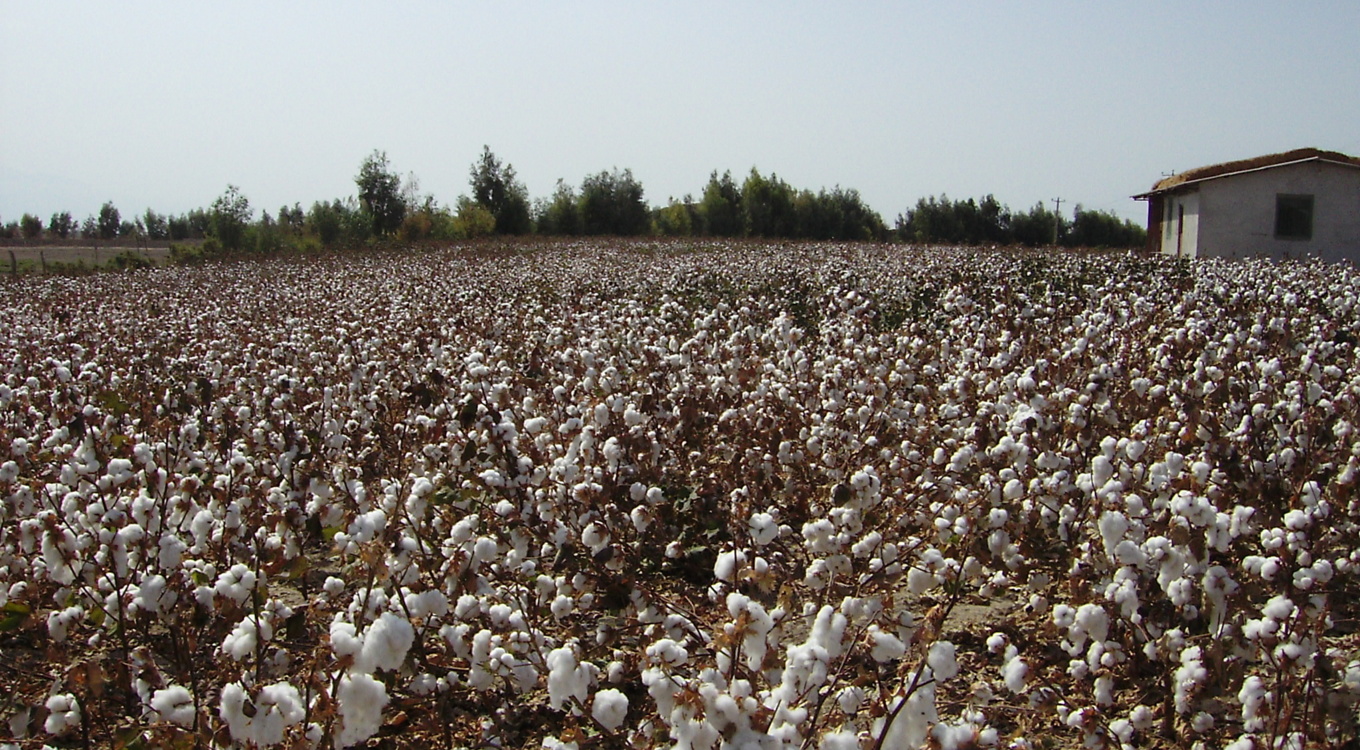 گلچین تصاویر موسسه