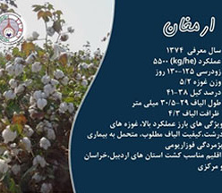 آگهی مزایده رقم ارمغان 1404