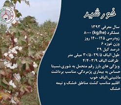 آگهی مزایده رقم خورشید 1404