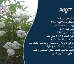 آگهی مزایده رقم سپید 1404