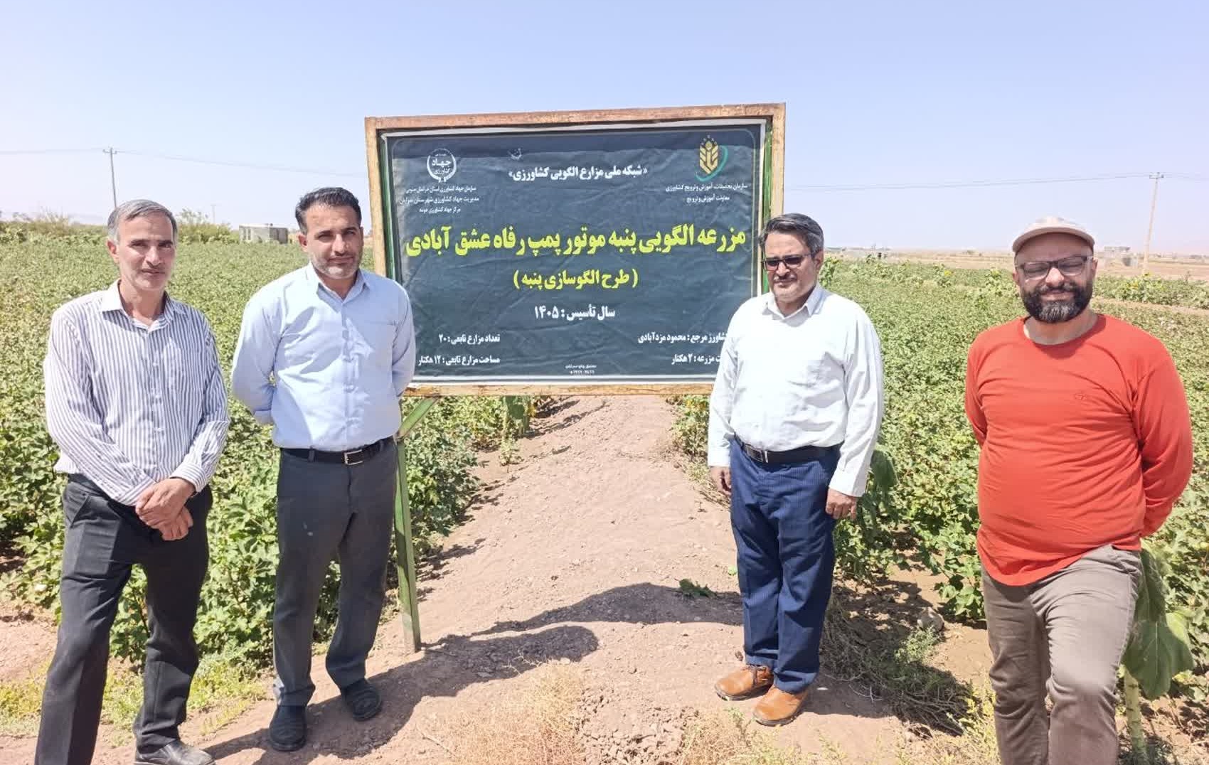 پایش موفقیت‌آمیز مزارع پنبه شهرستان سرایان؛ عدم مشاهده آفات کلیدی و تأکید بر مدیریت آبیاری پیش از برداشت