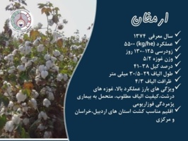 فراخوان واگذاری موقت دانش فنی تولید و تکثیر بذر رقم ارمغان