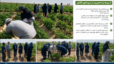 بررسی وضعیت رشد و توسعه مزرعه