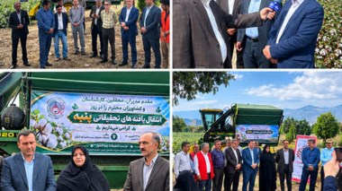 روز انتقال یافته‌های تحقیقاتی پنبه با حضور هزارجریبی، رئیس سازمان جهاد کشاورزی استان گلستان، قربانی، رئیس مؤسسه تحقیقات پنبه کشور، مدیران ترویج و اداره پنبه و دانه‌های روغنی، محققان، کارشناسان، مروجان، کشاورزان و نمایندگان شرکت‌های خصوصی در ایستگاه تحقیقا